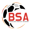 BSA Logo