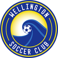 Wellington Wave Logo NEW